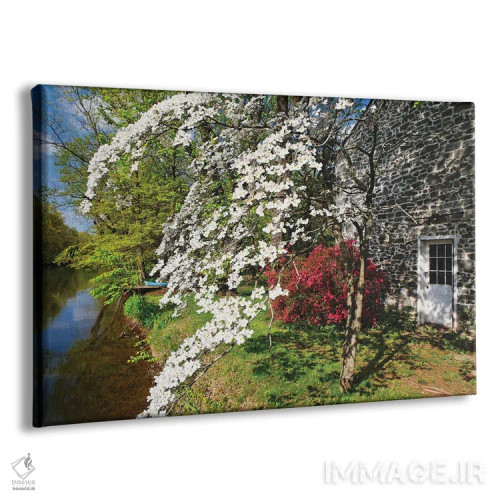 تابلو دکوراتیو شکوفایی گل های بهاری در کانال دلاور-رریتان، نیوجرسی اثر جورج اوزه - نمای پرسپکتیو محصول