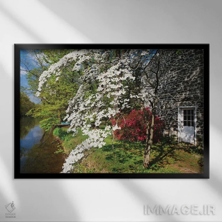 تابلو دکوراتیو شکوفایی گل های بهاری در کانال دلاور-رریتان، نیوجرسی اثر جورج اوزه - نمای قابدار مشکی