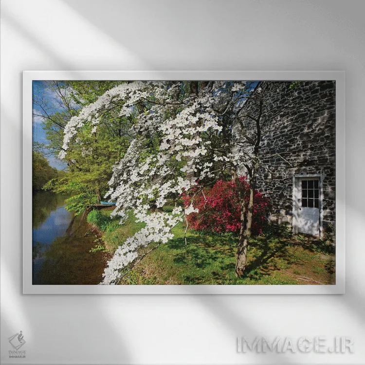 تابلو دکوراتیو شکوفایی گل های بهاری در کانال دلاور-رریتان، نیوجرسی اثر جورج اوزه - نمای قابدار سفید