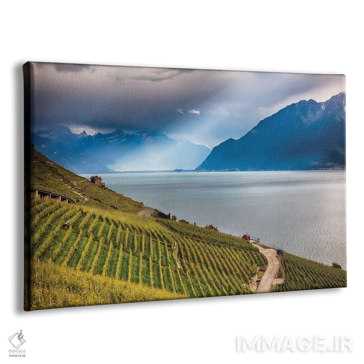 تابلو دکوراتیو تاکستان پله ای مشرف به دریاچه ژنو، سوئیس اثر جورج اوزه - نمای پرسپکتیو محصول