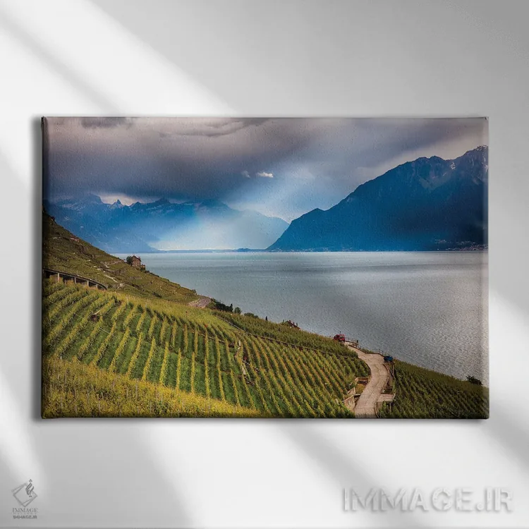 تابلو دکوراتیو تاکستان پله ای مشرف به دریاچه ژنو، سوئیس اثر جورج اوزه - نمای روبهرو روی دیوار