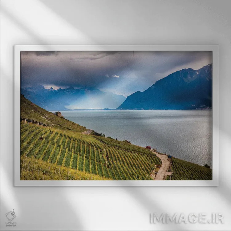 تابلو دکوراتیو تاکستان پله ای مشرف به دریاچه ژنو، سوئیس اثر جورج اوزه - نمای قابدار سفید