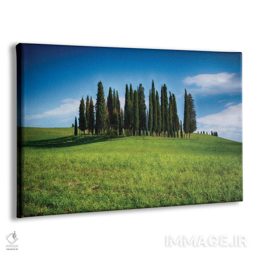 تابلو دکوراتیو گروهی از درختان سرو روی تپه ای، سن کویریکو دورچیا، توسکانی، ا… اثر جورج اوزه - نمای پرسپکتیو محصول