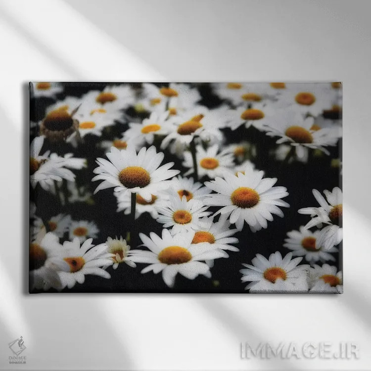 تابلو دکوراتیو مراسم خیال انگیز داوودی ها اثر جورج اوزه - نمای روبهرو روی دیوار