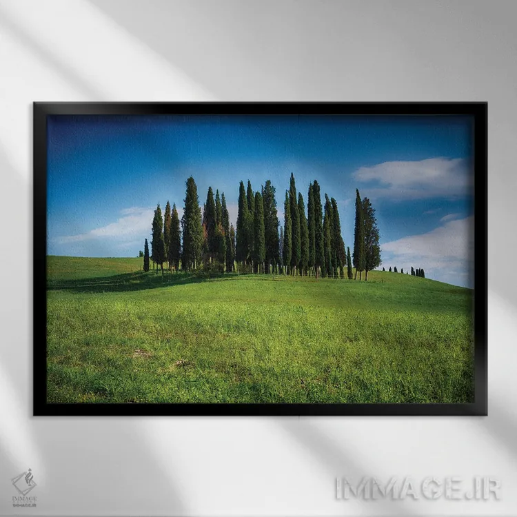 تابلو دکوراتیو گروهی از درختان سرو روی تپه ای، سن کویریکو دورچیا، توسکانی، ا… اثر جورج اوزه - نمای قابدار مشکی