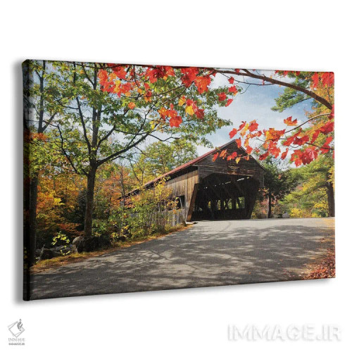 تابلو دکوراتیو نمای از پایین پل سرپوشیده، آلبانی، نیوهمپشایر اثر جورج اوزه - نمای پرسپکتیو محصول