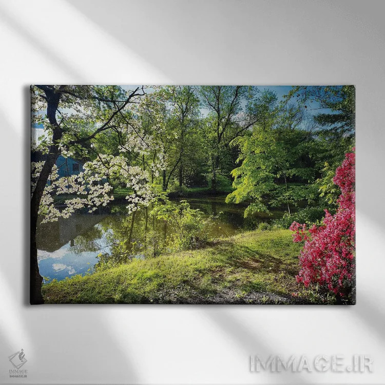 تابلو دکوراتیو شکوفایی آزالیا و داگ وود کنار نهر، پارک ایالتی کانال دلاور و… اثر جورج اوزه - نمای روبهرو روی دیوار