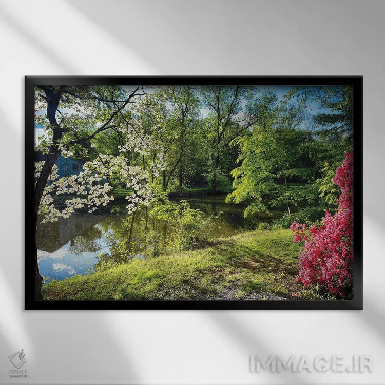 تابلو دکوراتیو شکوفایی آزالیا و داگ وود کنار نهر، پارک ایالتی کانال دلاور و… اثر جورج اوزه - نمای قابدار مشکی