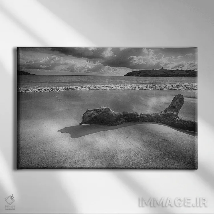 تابلو دکوراتیو چوب شناور در ساحل، پلایا سوثیا، کابو روخو، پورتوریکو اثر جورج اوزه - نمای روبهرو روی دیوار