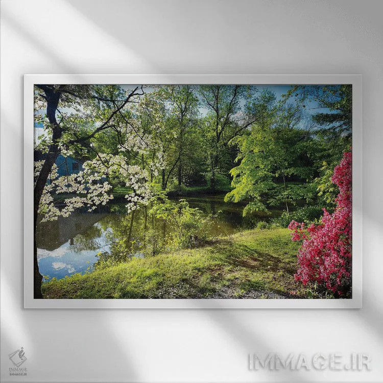 تابلو دکوراتیو شکوفایی آزالیا و داگ وود کنار نهر، پارک ایالتی کانال دلاور و… اثر جورج اوزه - نمای قابدار سفید