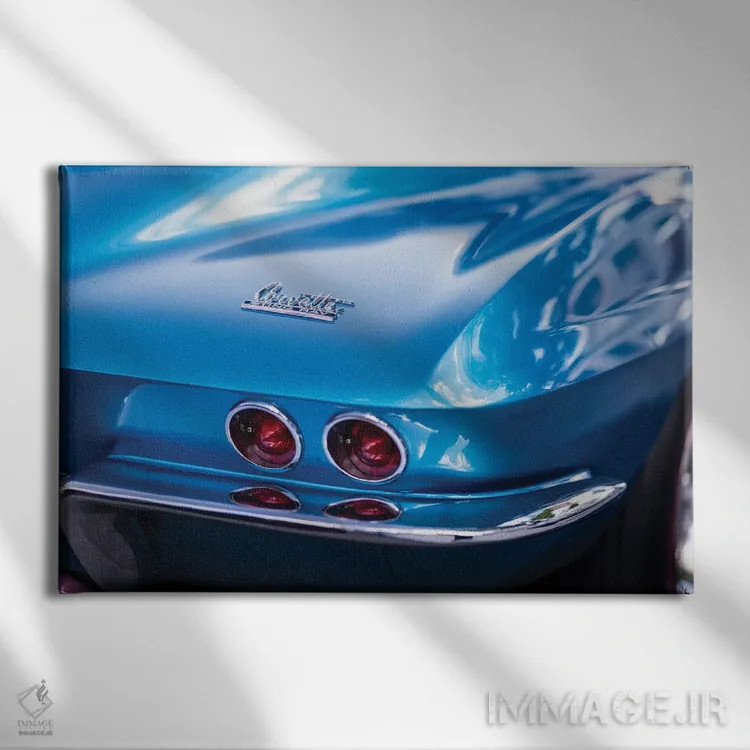 تابلو دکوراتیو کروم و جلا اثر جورج اوزه - نمای روبهرو روی دیوار