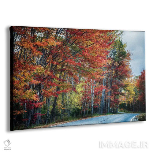 تابلو دکوراتیو جاده منظره پاییزی در آکادیا، مین اثر جورج اوزه - نمای پرسپکتیو محصول