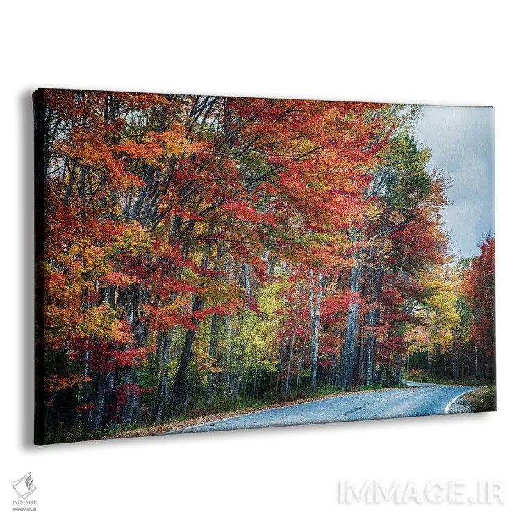 تابلو دکوراتیو جاده منظره پاییزی در آکادیا، مین اثر جورج اوزه - نمای پرسپکتیو محصول