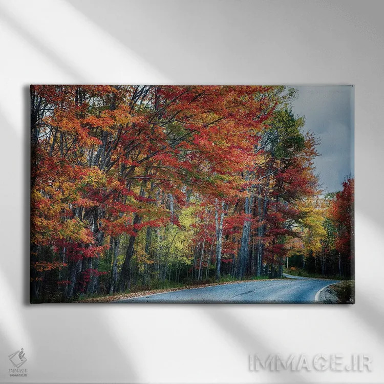 تابلو دکوراتیو جاده منظره پاییزی در آکادیا، مین اثر جورج اوزه - نمای روبهرو روی دیوار