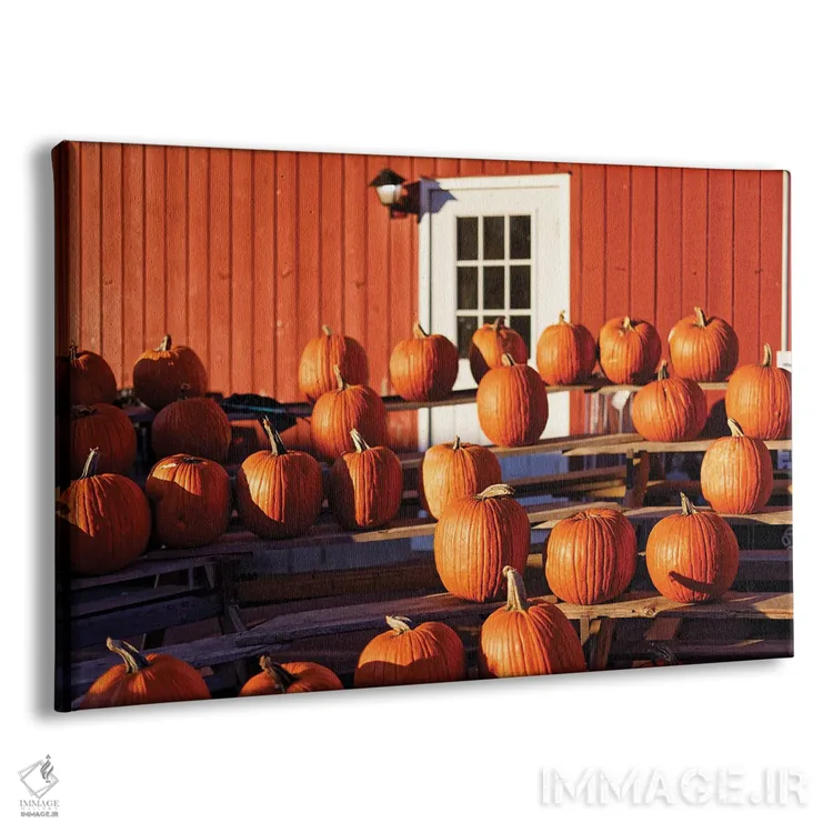 تابلو دکوراتیو کدو تنبل ها روی استند نمایش در یک مزرعه، نیوجرسی، آمریکا اثر جورج اوزه - نمای پرسپکتیو محصول