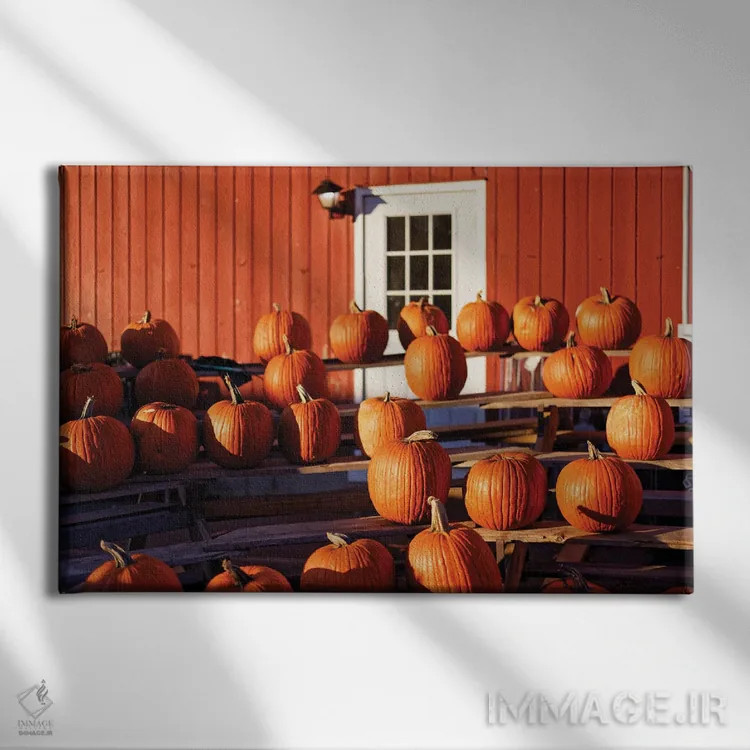 تابلو دکوراتیو کدو تنبل ها روی استند نمایش در یک مزرعه، نیوجرسی، آمریکا اثر جورج اوزه - نمای روبهرو روی دیوار