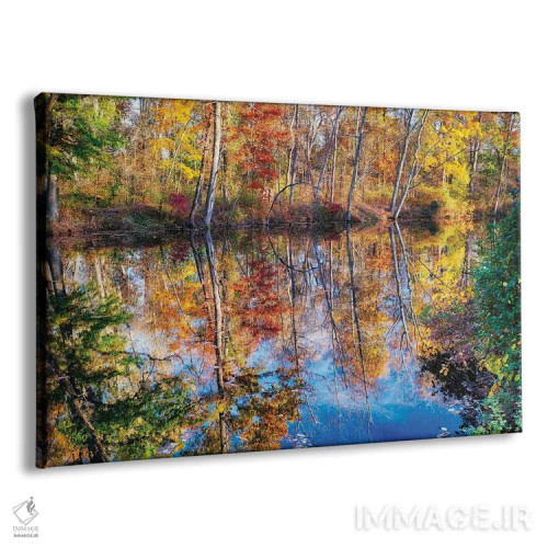 تابلو دکوراتیو انعکاس شاخ و برگ پاییزی در کانال دلاور و ریتان، نیوجرسی اثر جورج اوزه - نمای پرسپکتیو محصول