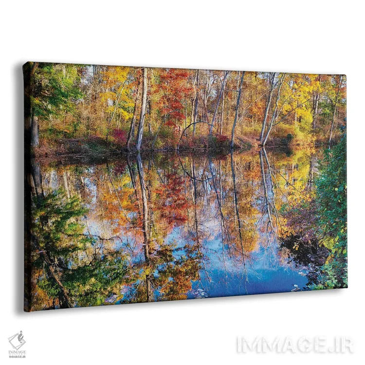 تابلو دکوراتیو انعکاس شاخ و برگ پاییزی در کانال دلاور و ریتان، نیوجرسی اثر جورج اوزه - نمای پرسپکتیو محصول