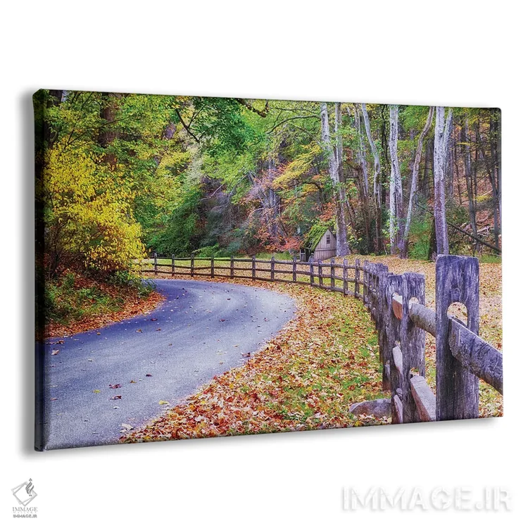 تابلو دکوراتیو جاده روستایی در شهرستان باکس، پنسیلوانیا در پاییز اثر جورج اوزه - نمای پرسپکتیو محصول