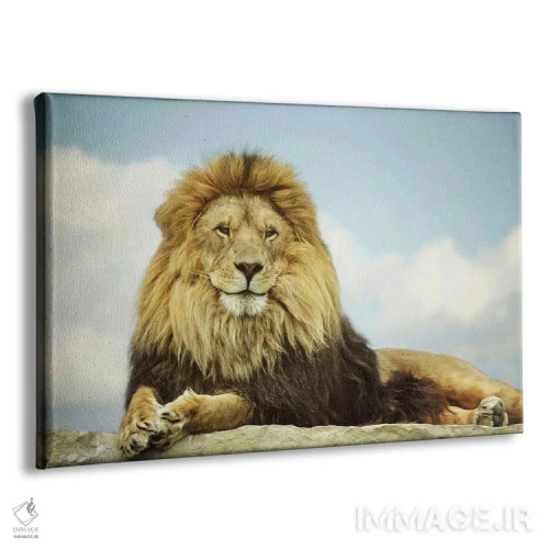 تابلو دکوراتیو پادشاه اثر کری ان گریپو-پایک - نمای پرسپکتیو محصول