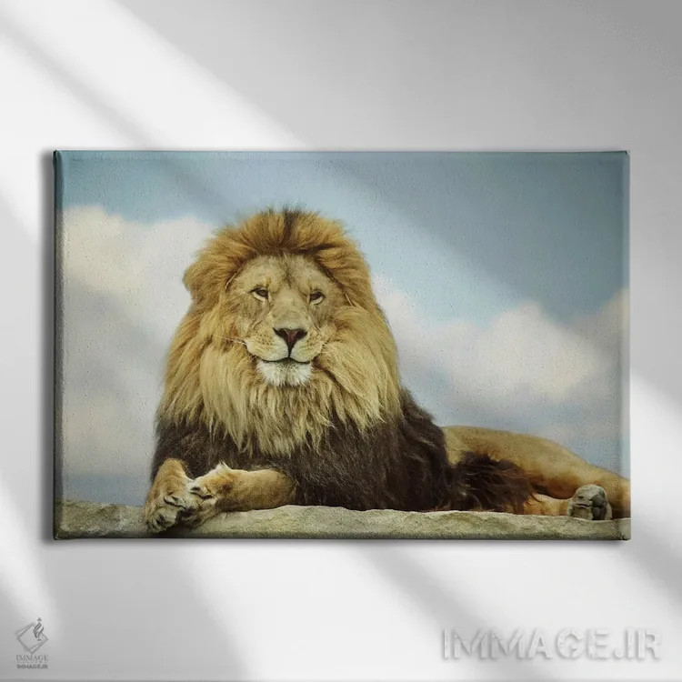 تابلو دکوراتیو پادشاه اثر کری ان گریپو-پایک - نمای روبهرو روی دیوار