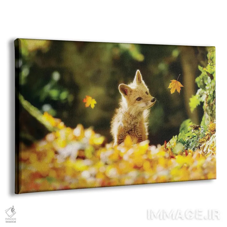 تابلو دکوراتیو روباه و برگ های پاییزی اثر کری ان گریپو-پایک - نمای پرسپکتیو محصول