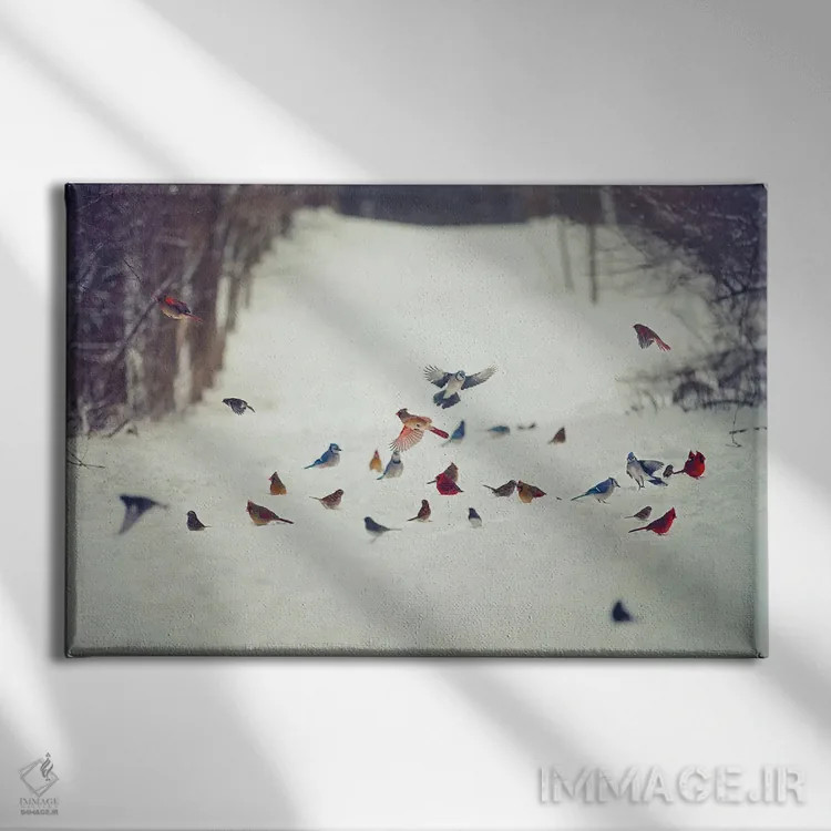 تابلو دکوراتیو دوستان پرنده در برف اثر کری ان گریپو-پایک - نمای روبهرو روی دیوار