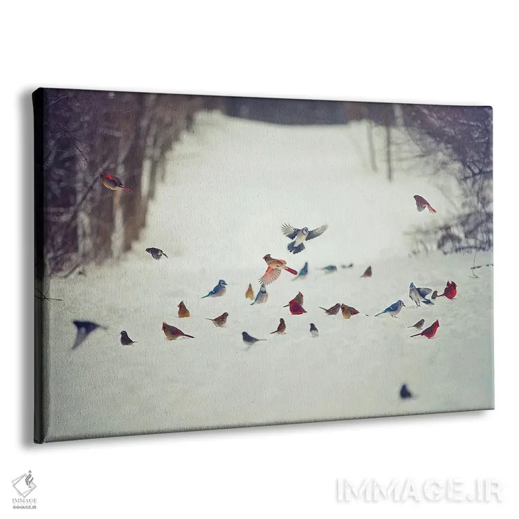 تابلو دکوراتیو دوستان پرنده در برف اثر کری ان گریپو-پایک - نمای پرسپکتیو محصول