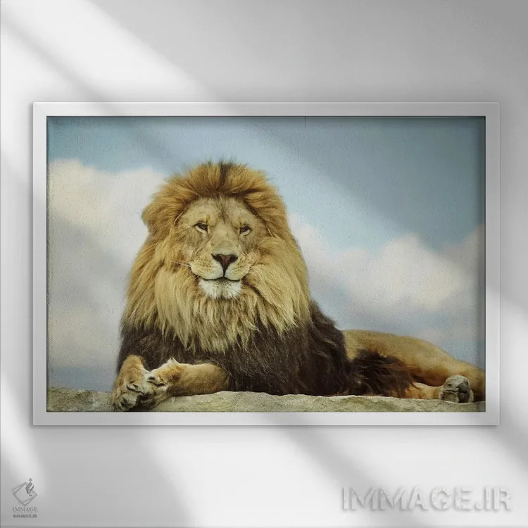 تابلو دکوراتیو پادشاه اثر کری ان گریپو-پایک - نمای قابدار سفید