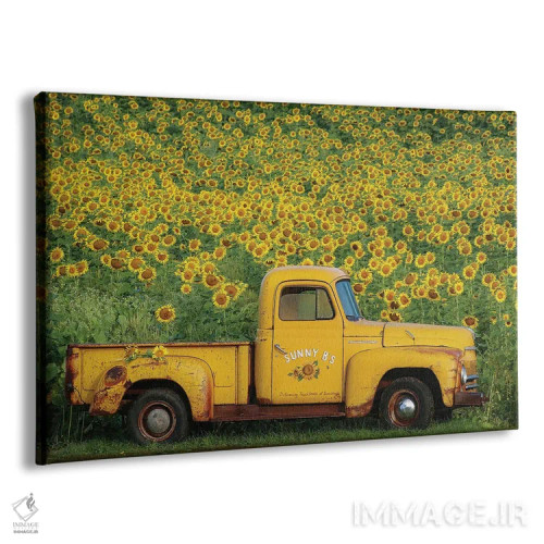 تابلو دکوراتیو کامیون زرد قدیمی با آفتابگردان اثر کری ان گریپو-پایک - نمای پرسپکتیو محصول