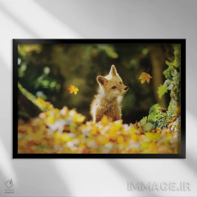 تابلو دکوراتیو روباه و برگ های پاییزی اثر کری ان گریپو-پایک - نمای قابدار مشکی