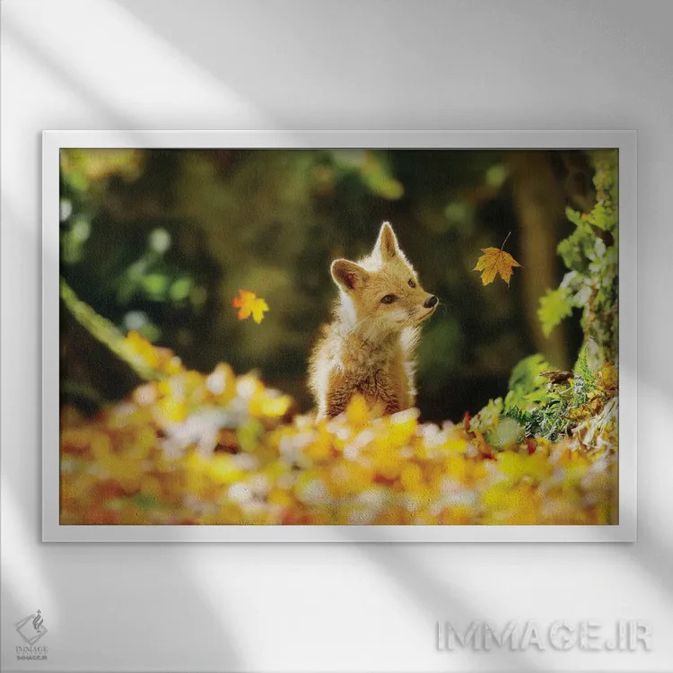 تابلو دکوراتیو روباه و برگ های پاییزی اثر کری ان گریپو-پایک - نمای قابدار سفید