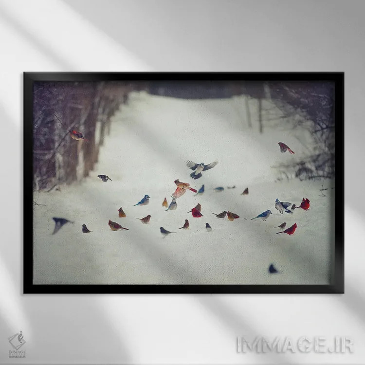 تابلو دکوراتیو دوستان پرنده در برف اثر کری ان گریپو-پایک - نمای قابدار مشکی