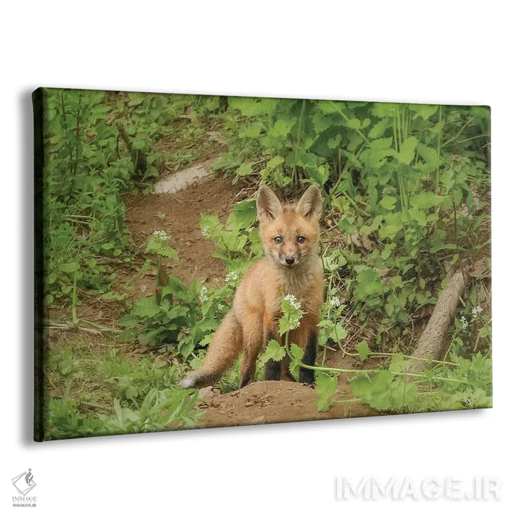 تابلو دکوراتیو روباه و گل اثر کری ان گریپو-پایک - نمای پرسپکتیو محصول