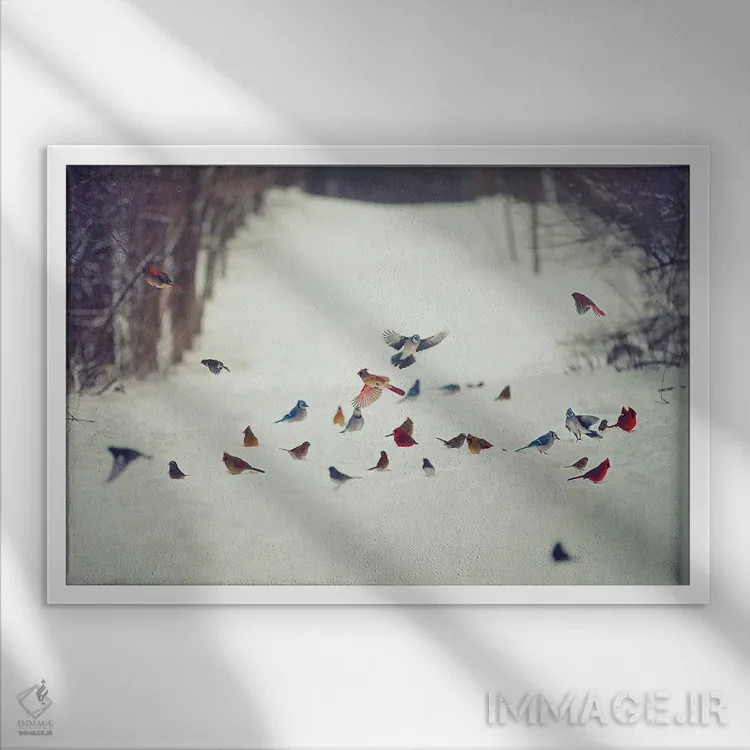 تابلو دکوراتیو دوستان پرنده در برف اثر کری ان گریپو-پایک - نمای قابدار سفید