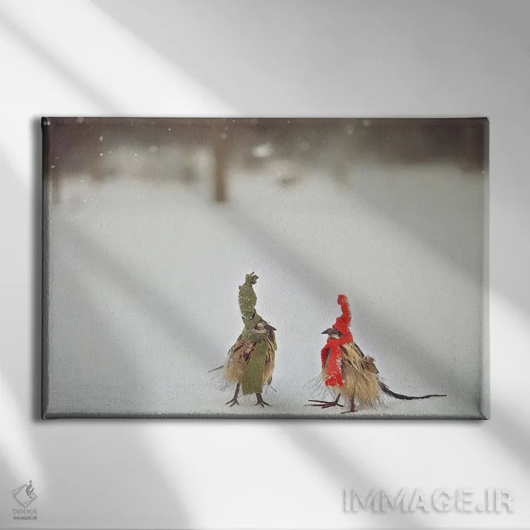 تابلو دکوراتیو دوستان پردار بادزده اثر کری ان گریپو-پایک - نمای روبهرو روی دیوار