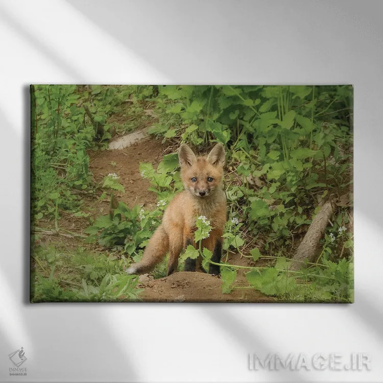 تابلو دکوراتیو روباه و گل اثر کری ان گریپو-پایک - نمای روبهرو روی دیوار