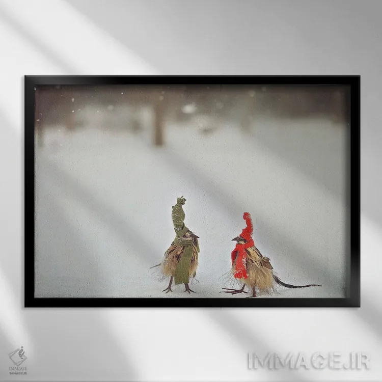 تابلو دکوراتیو دوستان پردار بادزده اثر کری ان گریپو-پایک - نمای قابدار مشکی