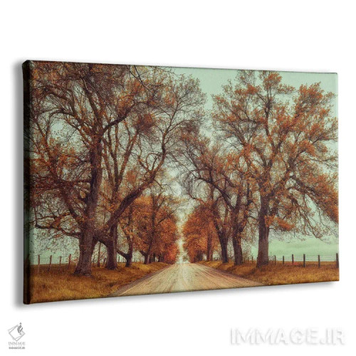 تابلو دکوراتیو ماجراجویی های نوامبر اثر کری ان گریپو-پایک - نمای پرسپکتیو محصول