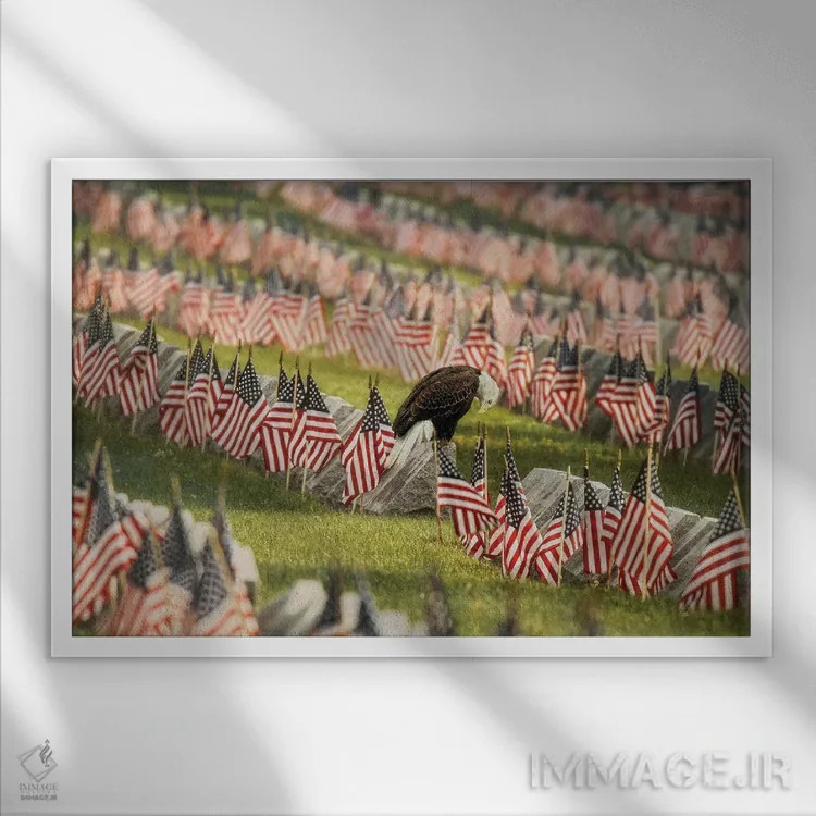 تابلو دکوراتیو آخرین احترام اثر کری ان گریپو-پایک - نمای قابدار سفید