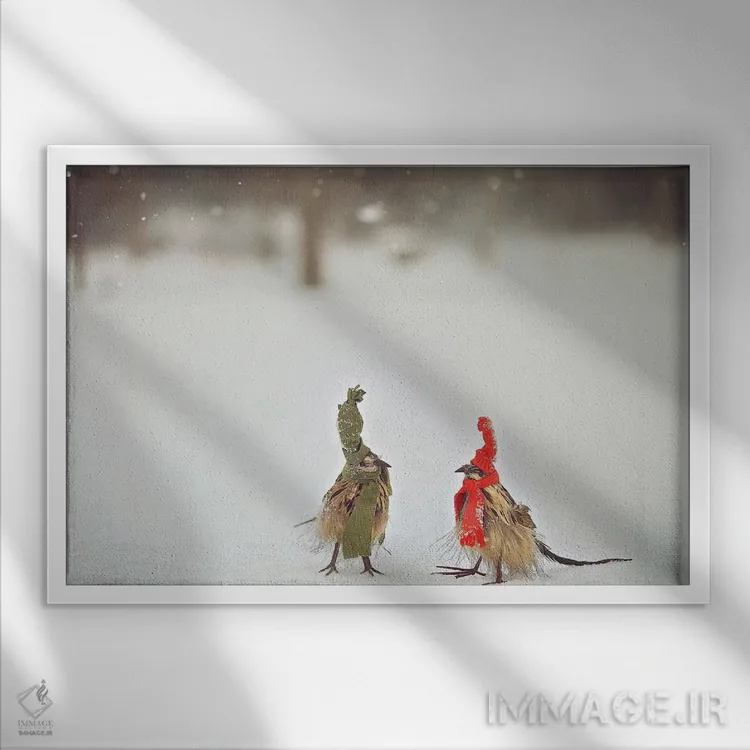 تابلو دکوراتیو دوستان پردار بادزده اثر کری ان گریپو-پایک - نمای قابدار سفید