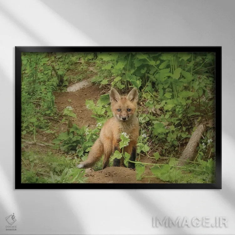 تابلو دکوراتیو روباه و گل اثر کری ان گریپو-پایک - نمای قابدار مشکی