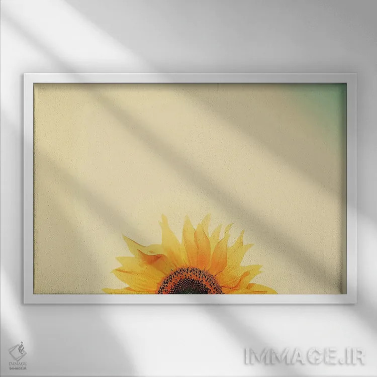 تابلو دکوراتیو طلوع آفتابگردان اثر کری ان گریپو-پایک - نمای قابدار سفید
