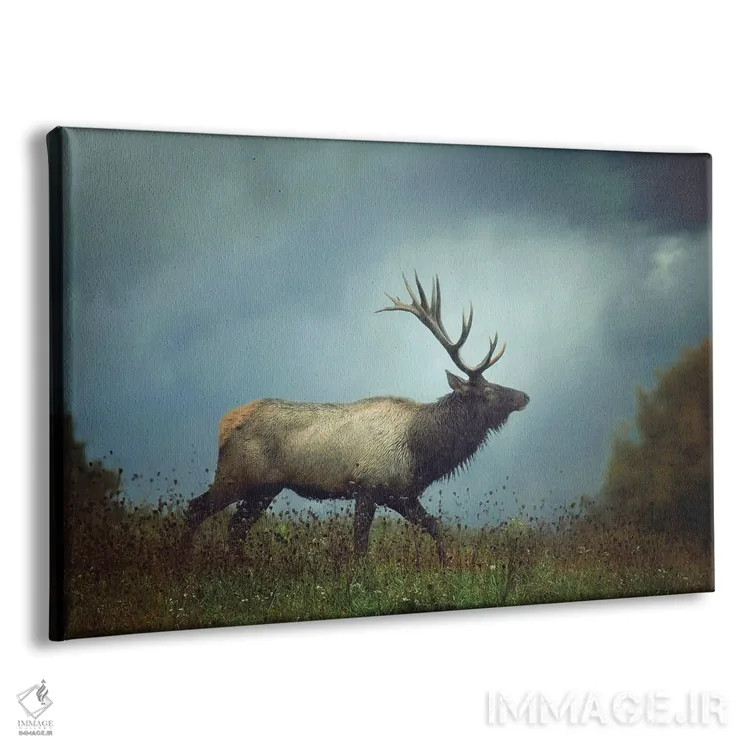 تابلو دکوراتیو گوزن شمالی اثر کری ان گریپو-پایک - نمای پرسپکتیو محصول