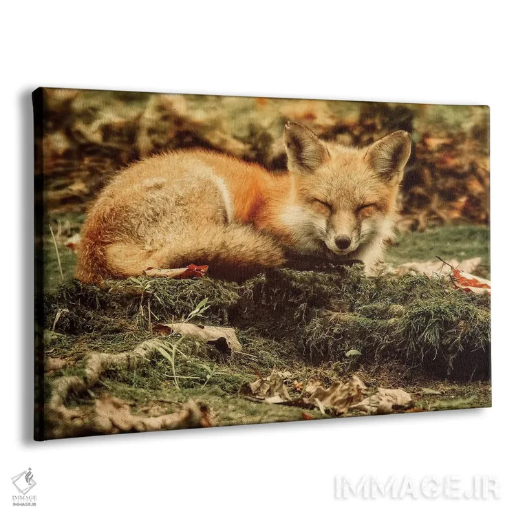 تابلو دکوراتیو زیبای خفته اثر کری ان گریپو-پایک - نمای پرسپکتیو محصول