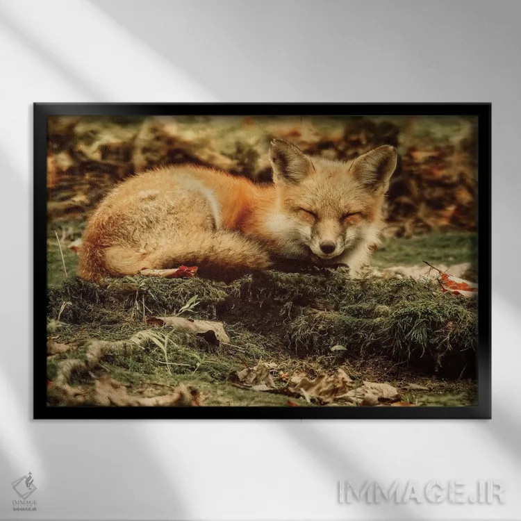 تابلو دکوراتیو زیبای خفته اثر کری ان گریپو-پایک - نمای قابدار مشکی