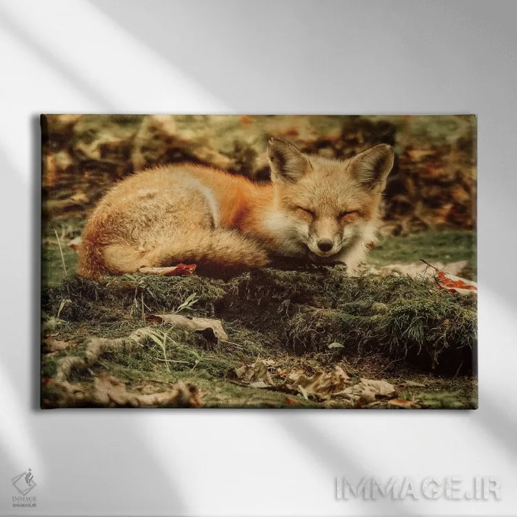 تابلو دکوراتیو زیبای خفته اثر کری ان گریپو-پایک - نمای روبهرو روی دیوار