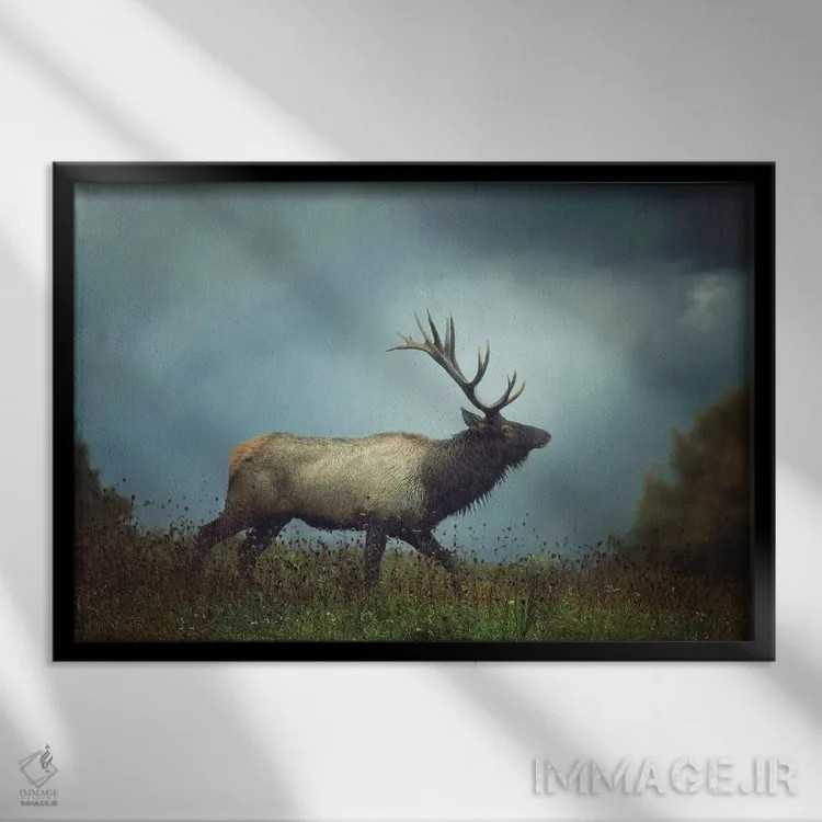 تابلو دکوراتیو گوزن شمالی اثر کری ان گریپو-پایک - نمای قابدار مشکی