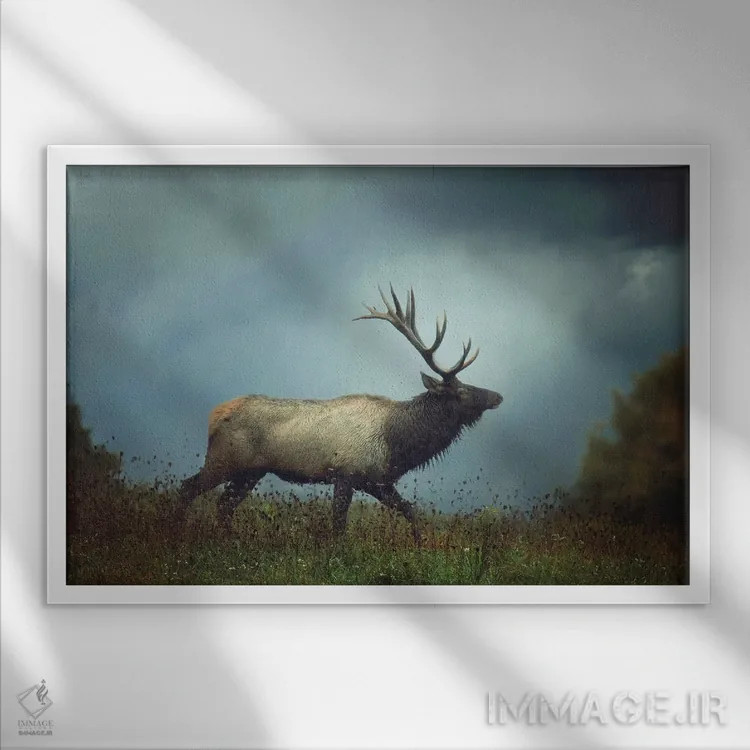 تابلو دکوراتیو گوزن شمالی اثر کری ان گریپو-پایک - نمای قابدار سفید