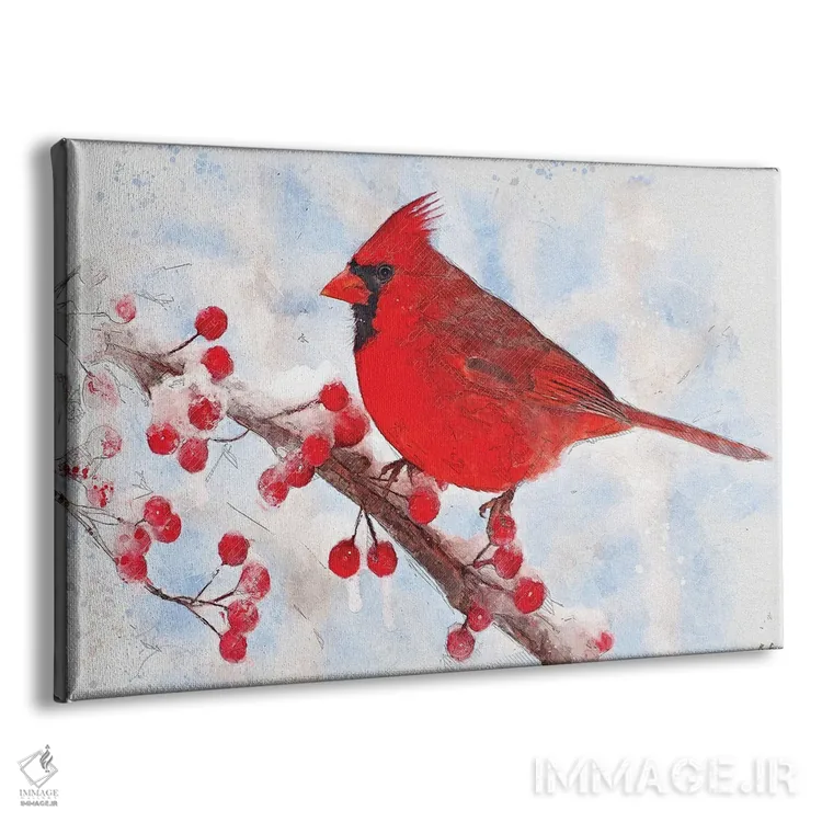 تابلو دکوراتیو پرنده کارباورال اثر راب فرانسیس - نمای پرسپکتیو محصول